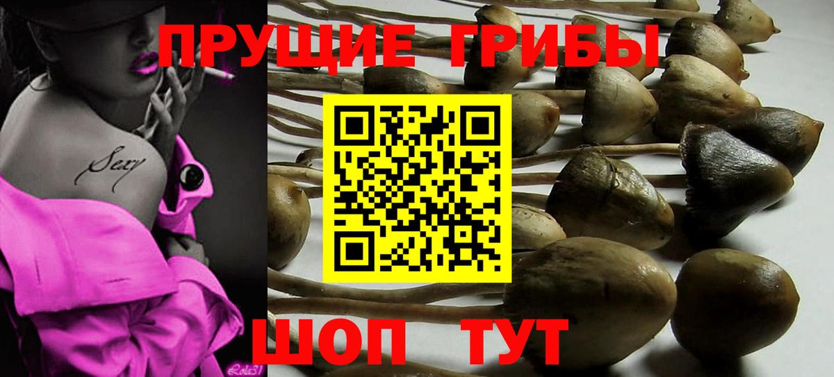 Псилоцибиновые грибы ЛСД  Вход с VPN  Тавда  Псилоцибиновые грибы прущие грибы 