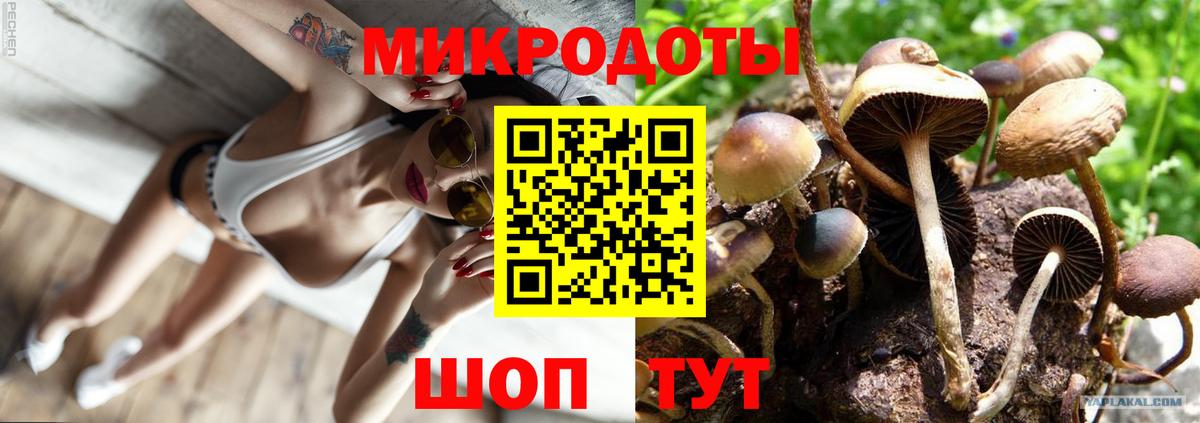 Галлюциногенные грибы мицелий Тавда